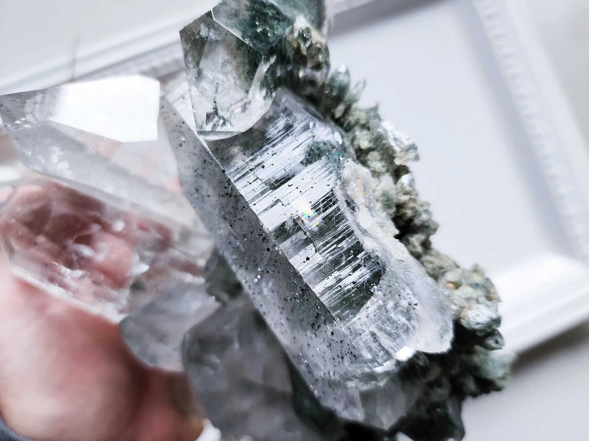 Himalayan Cathedral Quartz with Chlorite Rutile & Anatase || Rare