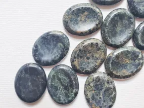 Kambaba Jasper Worry Stone