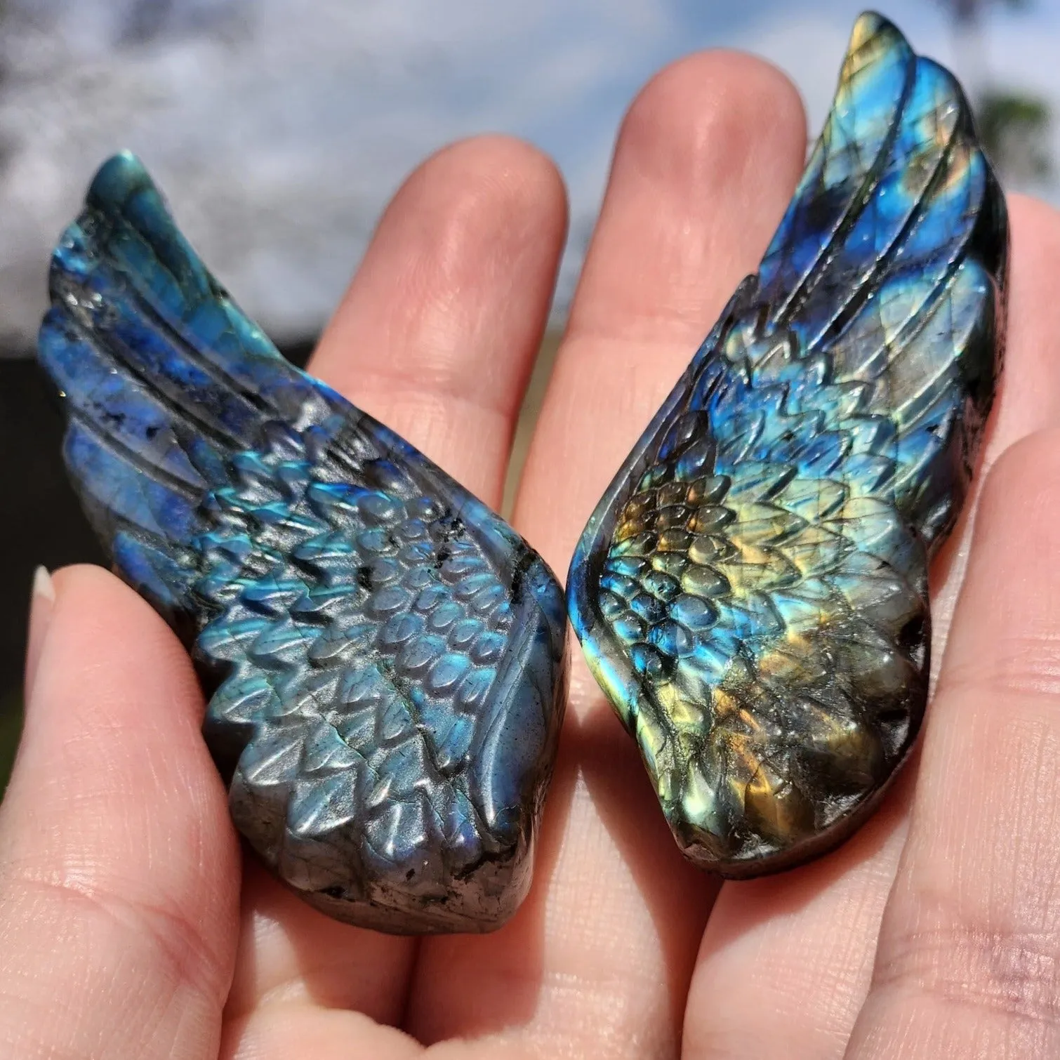 Labradorite Angel Wings Set