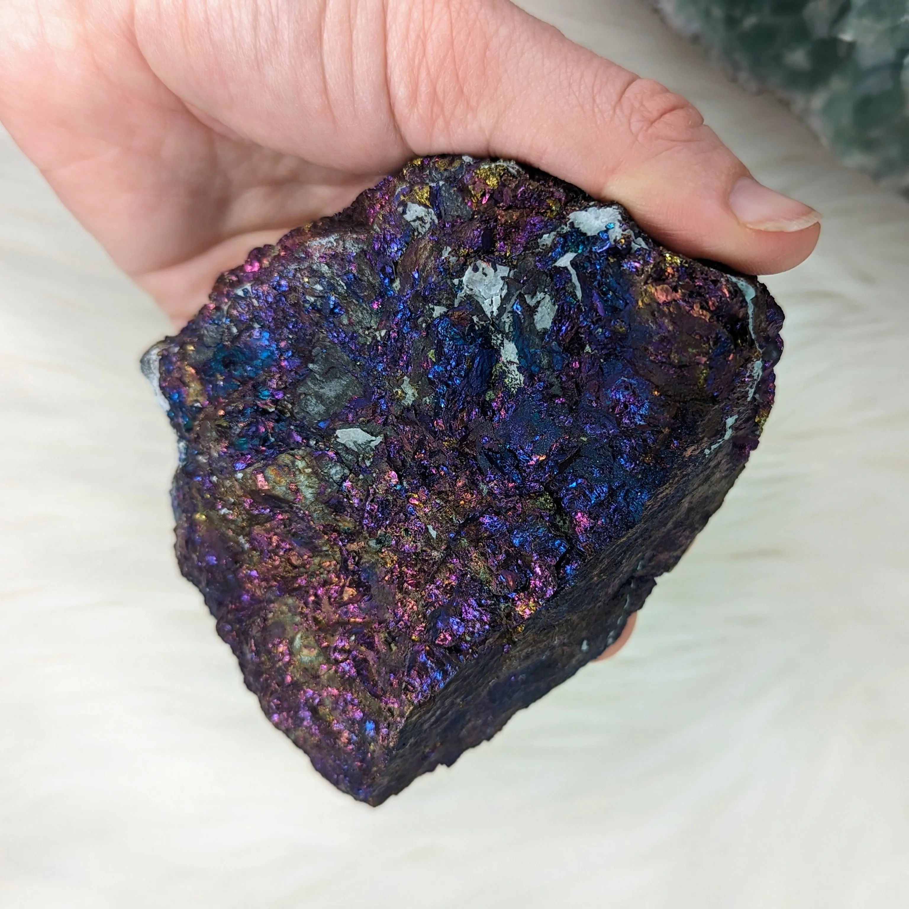 Stunning and Shimmering Large Natural Chalcopyrite Specimen from Mexico