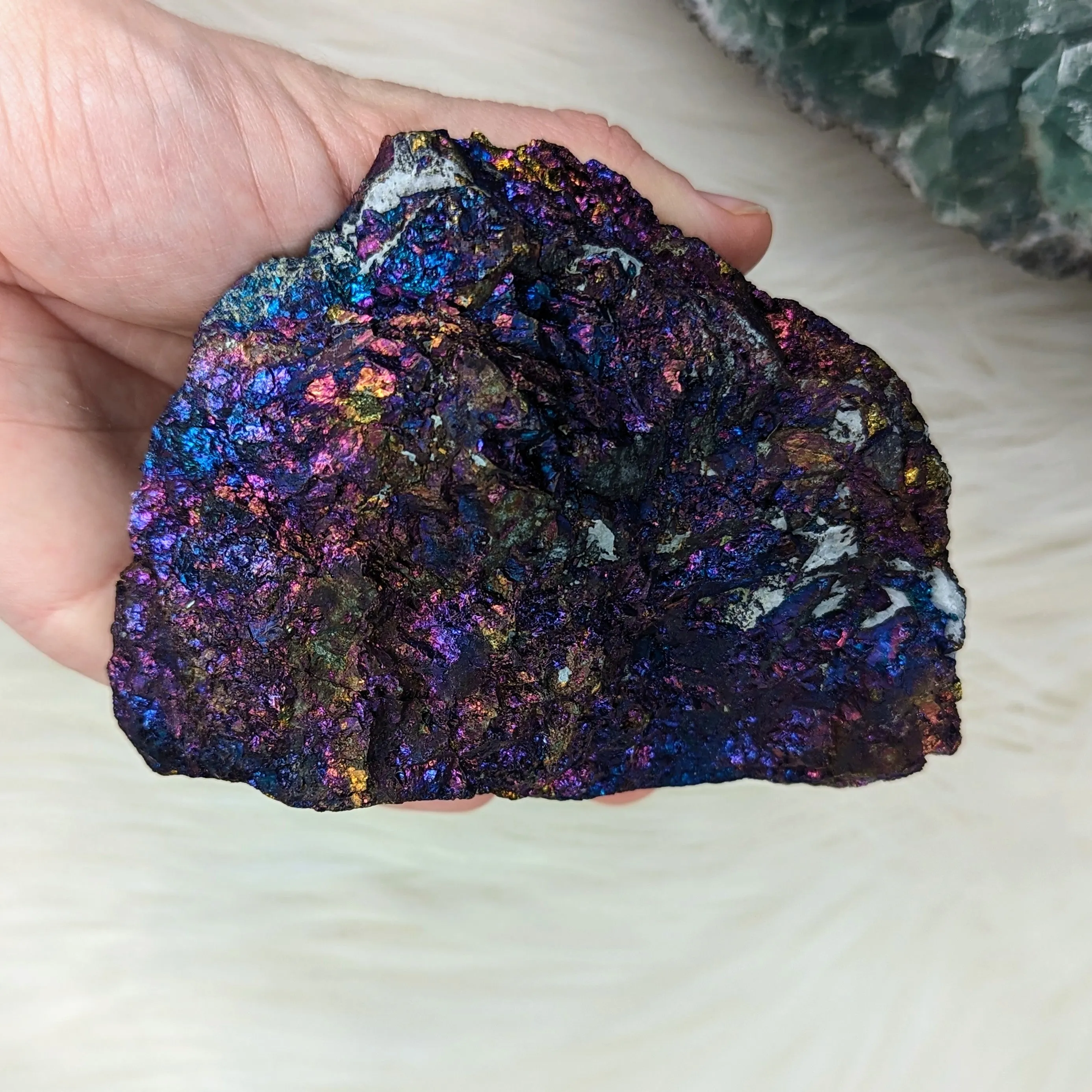 Stunning and Shimmering Large Natural Chalcopyrite Specimen from Mexico