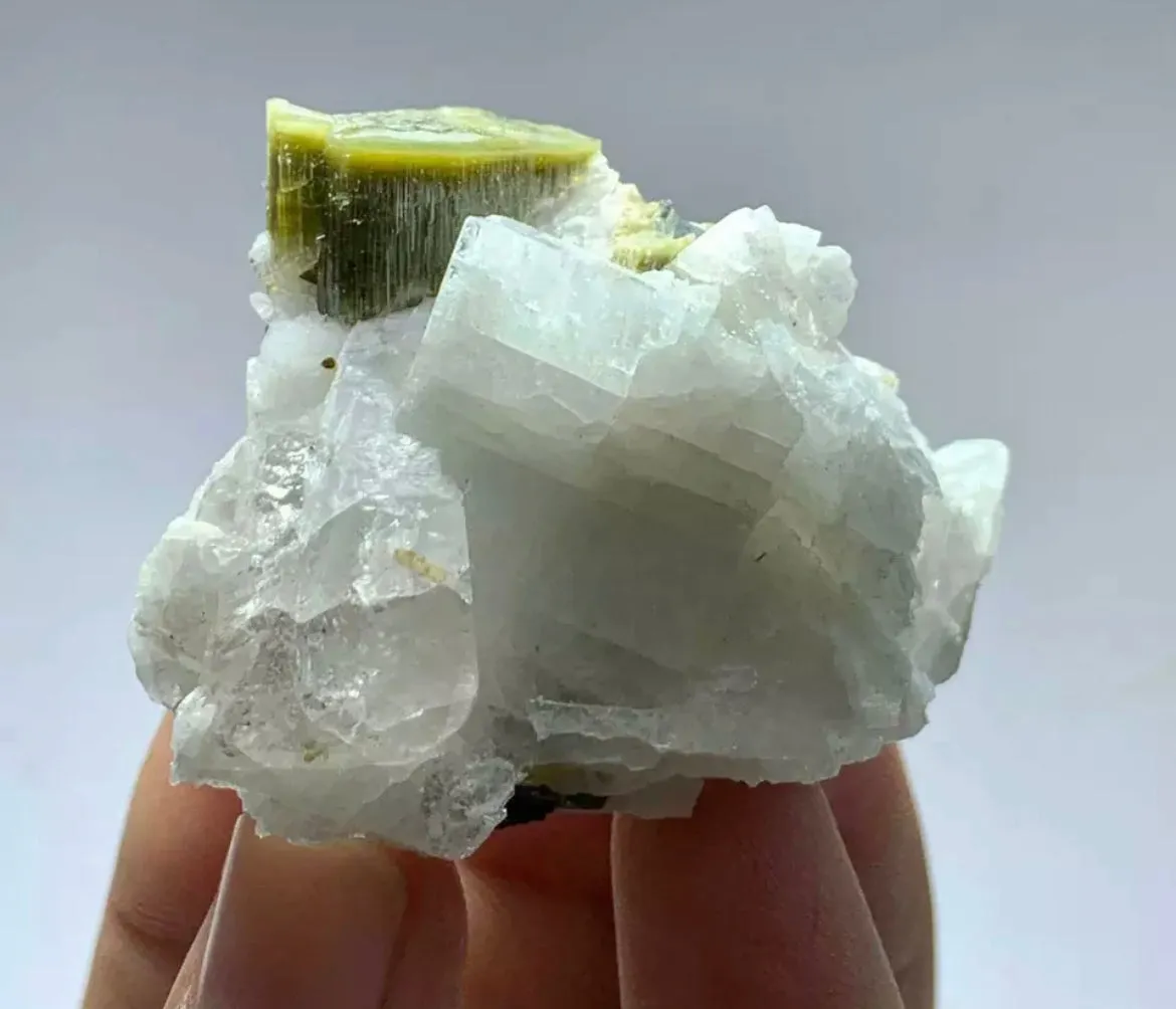 Tourmaline Crystal Specimen With Quartz From staknala