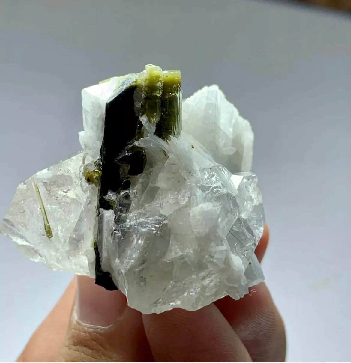 Tourmaline Crystal Specimen With Quartz From staknala