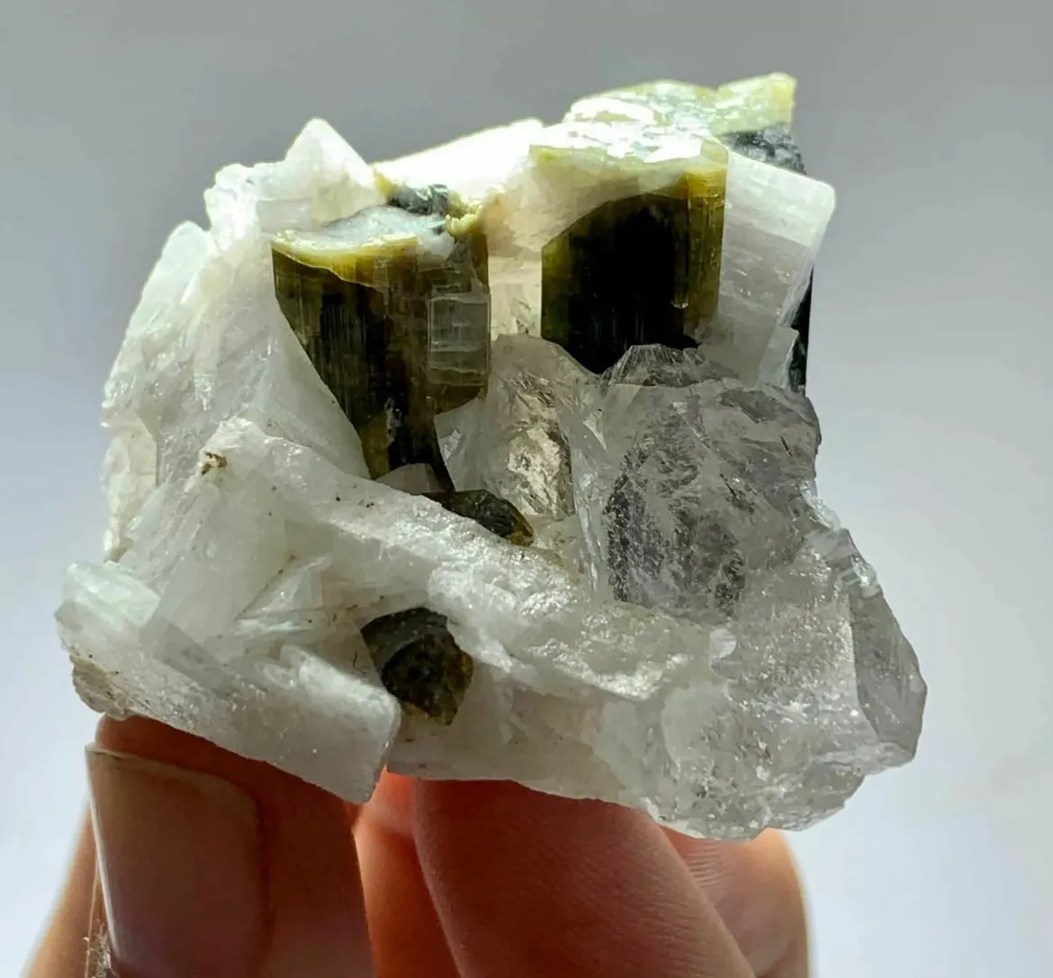 Tourmaline Crystal Specimen With Quartz From staknala